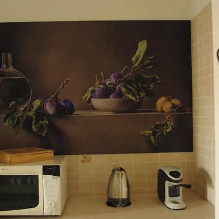 Apartamento L'oasi Della Gatta Panciona *