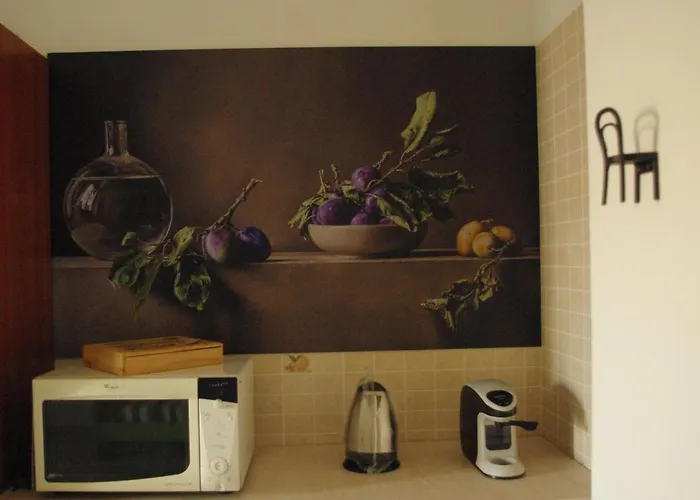 דירה L'oasi Della Gatta Panciona *